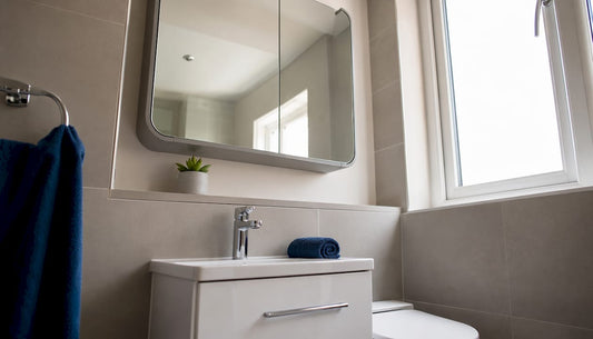 Small bathroom with sleek mirror cabinet overhead