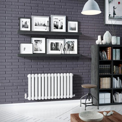 Cassius Horizontal Radiator
White